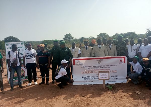 Côte d’Ivoire-AIP/ Un planting d’arbres et des panels marquent la journée nationale de la paix à Ferkessédougou