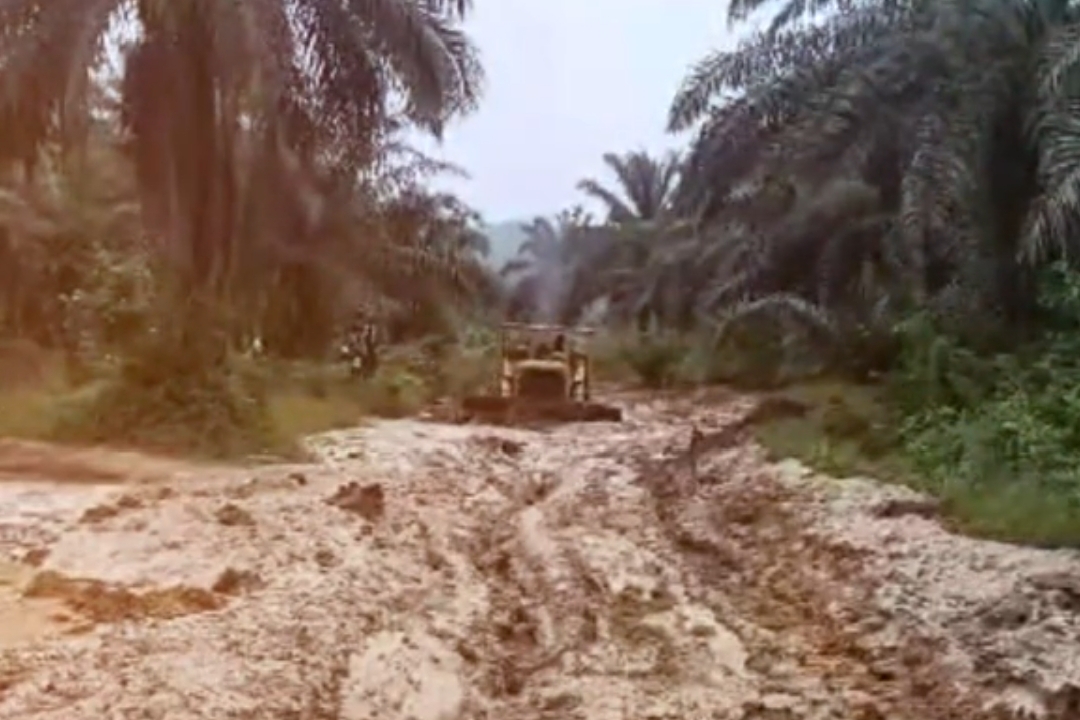 Côte d’Ivoire-AIP/ La mairie de Grabo lance les travaux de dégagement de l’axe Grabo–Watinouma pour désenclaver plusieurs villages