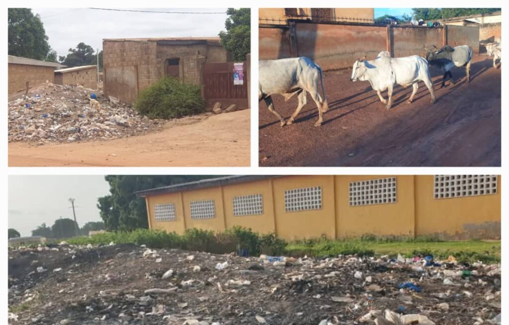 Côte d’Ivoire-AIP/ L’insalubrité et la divagation des animaux préoccupent les habitants de Tortiya
