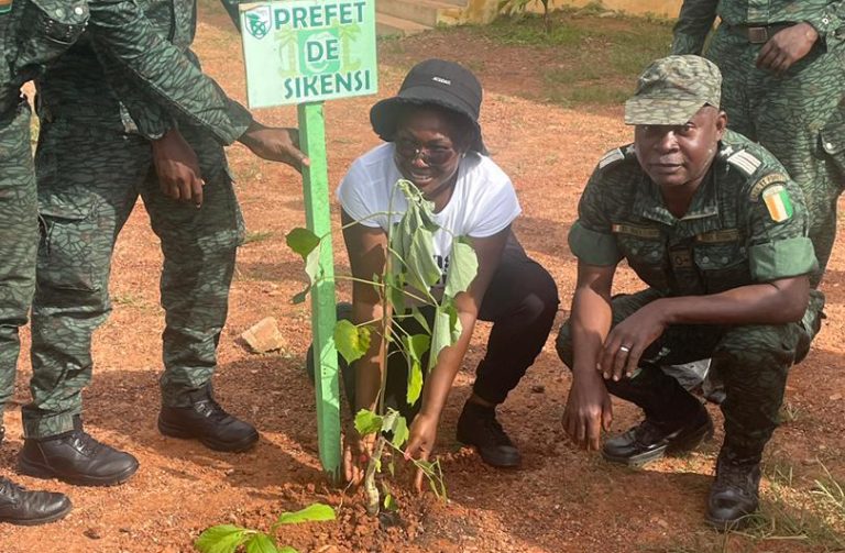 Côte d’Ivoire-AIP/ JNP 2025 : 300 plants mis en terre par les Eaux et forêts de Sikensi