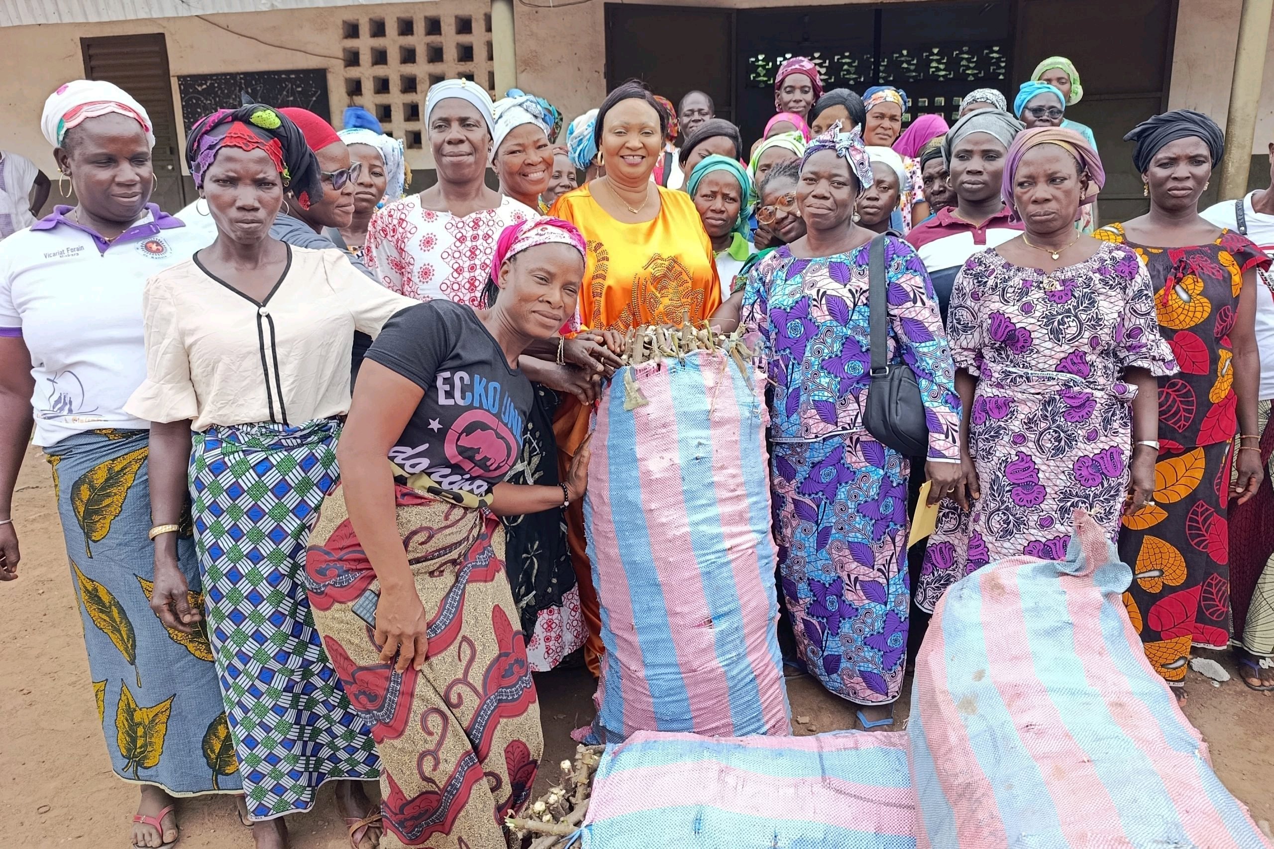 Côte d’Ivoire-AIP/Une fédération d’entreprises agricoles offre 16 Ha de boutures de manioc amélioré à Arikokaha