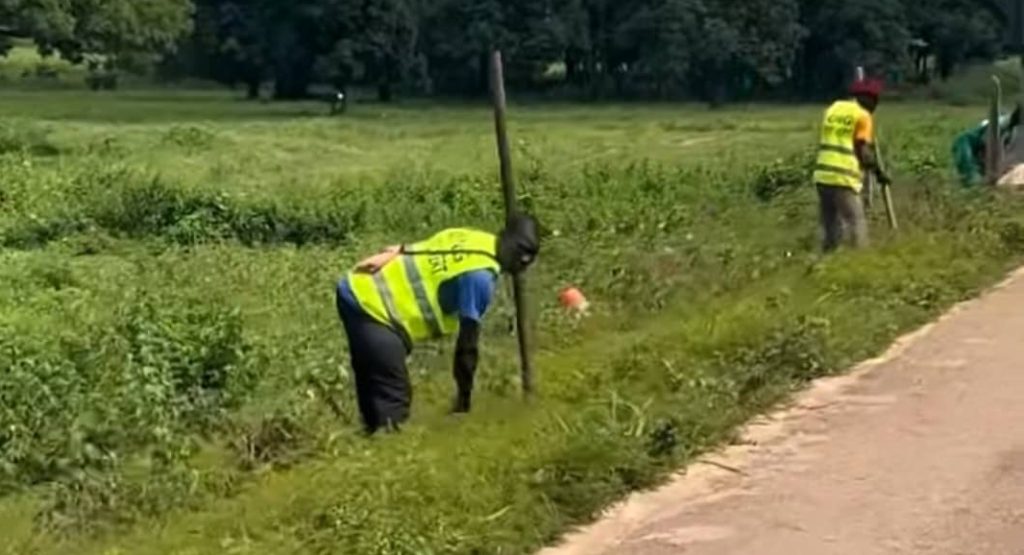 Côte d’Ivoire-AIP/La mairie de Tafiré lance une vaste opération de planting d’arbres pour verdir et protéger l’environnement
