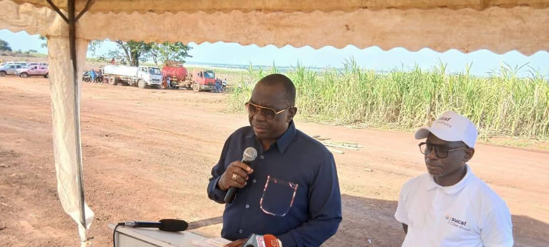 Côte d’Ivoire-AIP / Campagne 2025-2026 : la filière sucrière ivoirienne se réinvente face aux défis climatiques