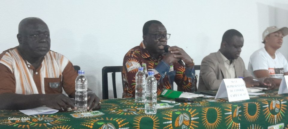 Côte d’Ivoire-AIP / Duékoué : 28 % des coopératives de café-cacao affichent une gestion professionnelle (Étude)