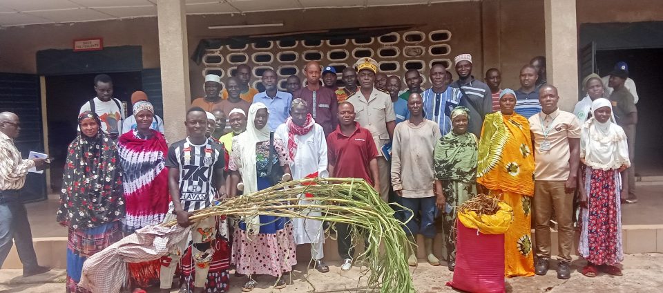 Côte d’Ivoire-AIP/ Des acteurs agro-pastoraux d’Odienné formés à la culture du maralfalfa