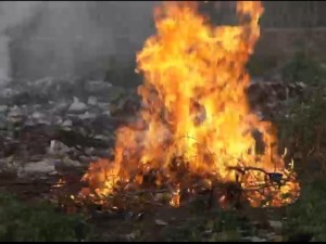 Côte d'Ivoire-AIP/ Les autorités intensifient le contrôle des produits alimentaires en vente à Tafiré