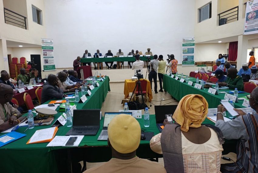 Côte d’Ivoire-AIP/ La ville d'Odienné accueille la semaine du Wassoulou pour renforcer la coopération transfrontalière