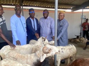 Côte d'Ivoire-AIP/ Tabaski 2026: Adama Bictogo offre des moutons à des familles défavorisées et imams à Yopougon