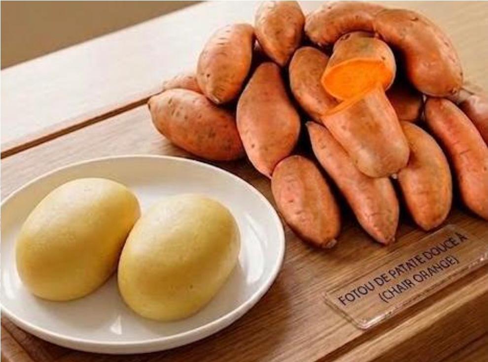 Côte d’Ivoire-AIP/ Le CNRA mise sur la patate douce à chair orange pour renforcer la sécurité alimentaire