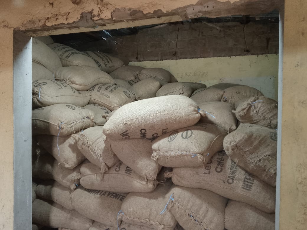 Côte d’Ivoire-AIP/ Des producteurs de cacao d’Arrah adhèrent à la grève illimitée du SYNAPCI