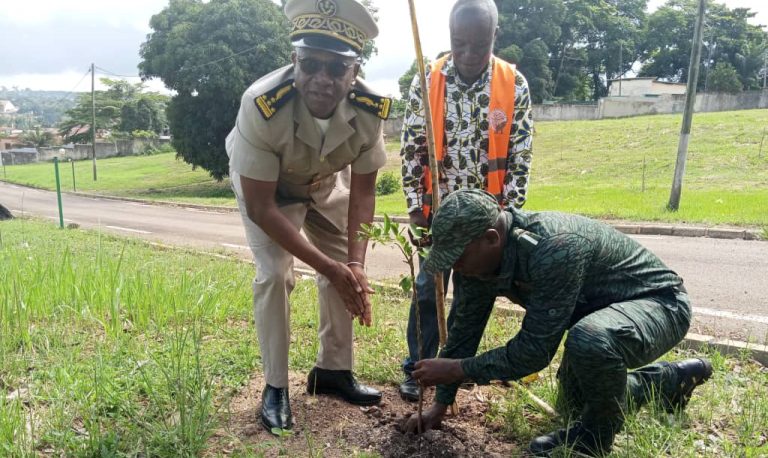 Côte d’Ivoire-AIP/ Une ONG réalise un planting d’arbres à la résidence du préfet à Lakota