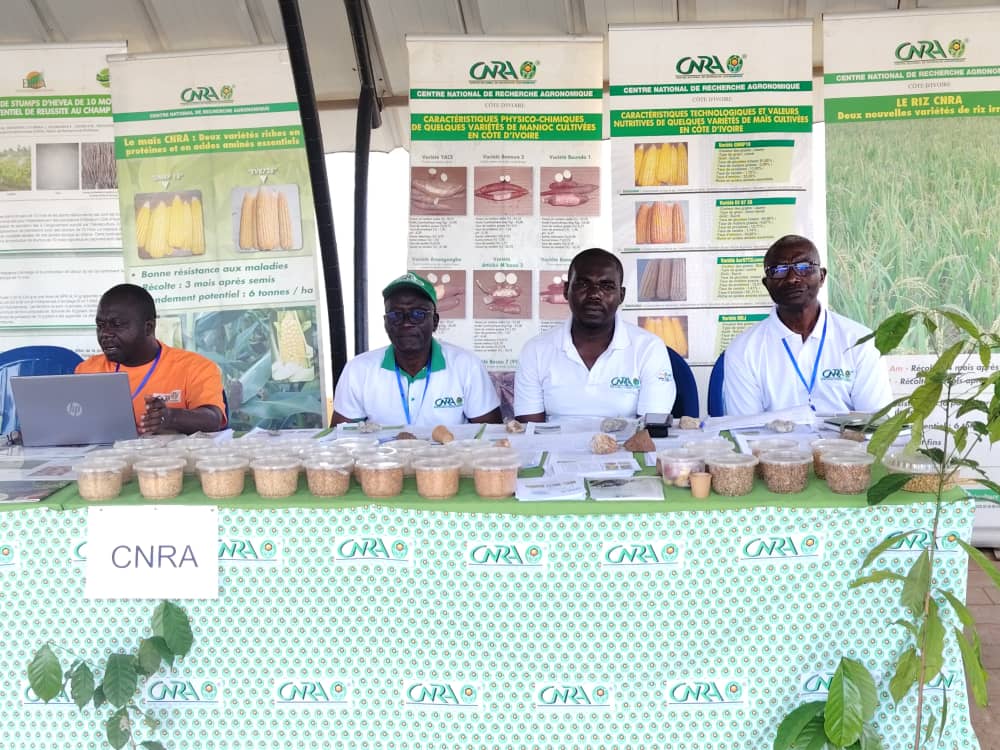 Côte d’Ivoire – AIP / Touba : le CNRA valorise l’entrepreneuriat agricole aux JPEB 2026