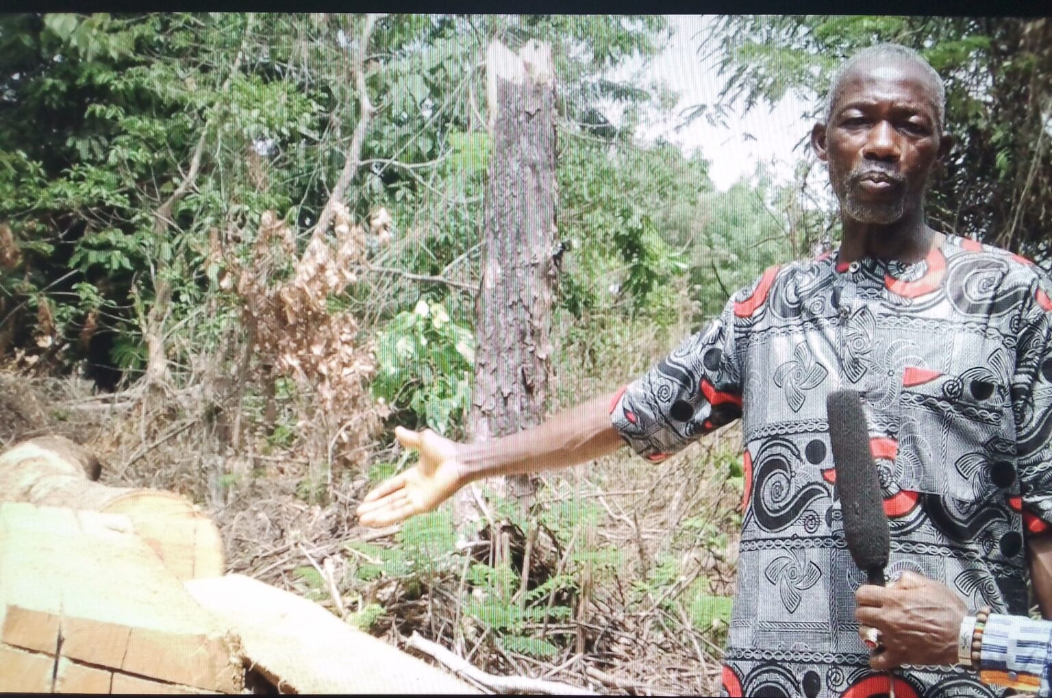 Côte d’Ivoire – AIP / Dimbokro: l’agriculture, un lotissement et le sciage à façon menacent l’existence de la forêt sacrée d’Abigui