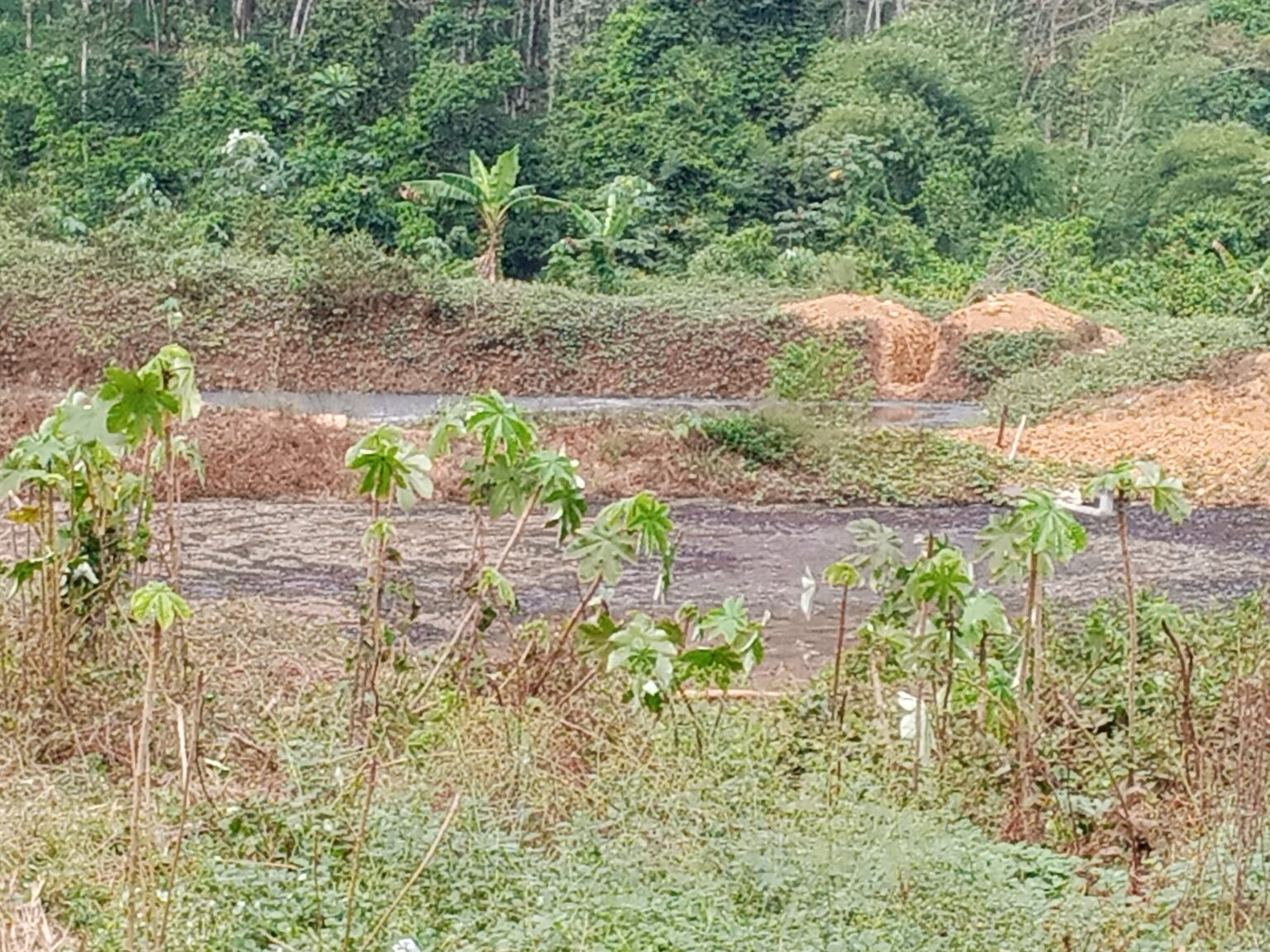 Côte d’Ivoire-AIP/Un enfant de 13 ans meurt noyé dans le bassin de lagunage d’une usine à Aboisso