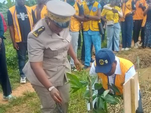 Côte d’Ivoire-AIP/ Le Lions Club Abidjan Akwaba et les Eaux et Forêts reconstituent un hectare de couvert forestier sur le site de SCB Banacomoé