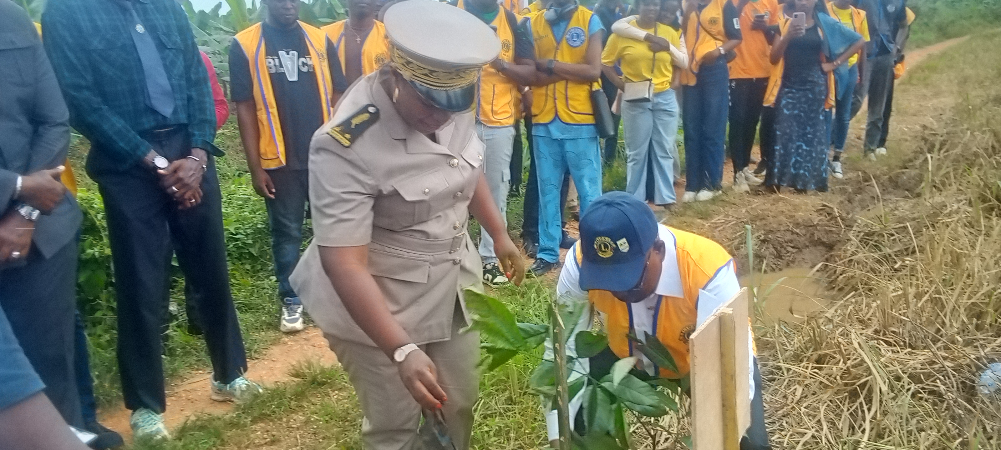 Côte d’Ivoire-AIP/ Le Lions Club Abidjan Akwaba et les Eaux et Forêts reconstituent un hectare de couvert forestier sur le site de SCB Banacomoé