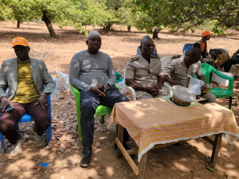 Côte d’Ivoire-AIP/Une campagne de sensibilisation pour améliorer la qualité des noix de cajou à Ouolo et Dikodougou