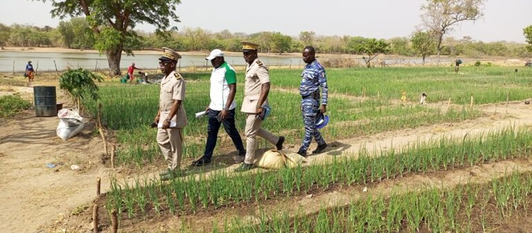 Côte d’Ivoire-AIP/ Le groupement « Kanwôrô » se dote d’un système d’irrigation pour booster la culture d’oignons à Kodo