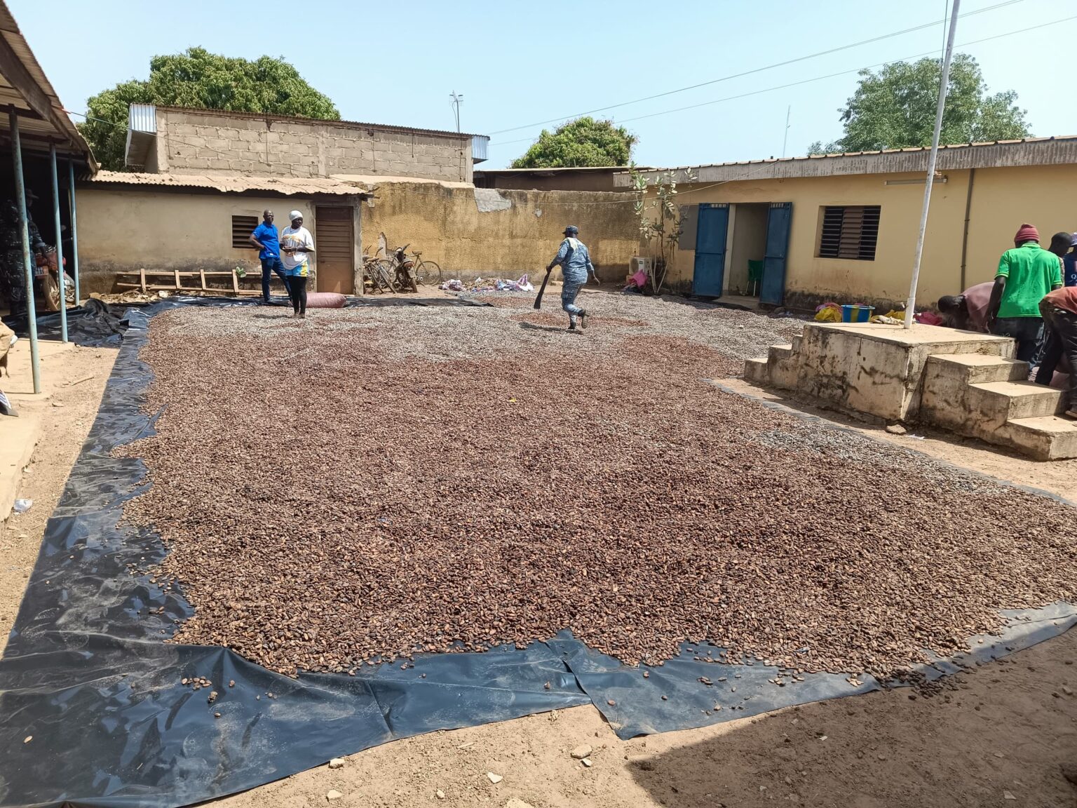 Côte d’Ivoire-AIP/ Nouvelle interception de cacao dissimulé dans un camion à Ouangolodougou