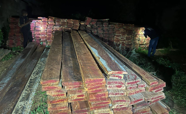 Côte d’Ivoire-AIP/La brigade spéciale de surveillance et d’intervention saisit des stocks de bois issus du sciage illégal à N’douci