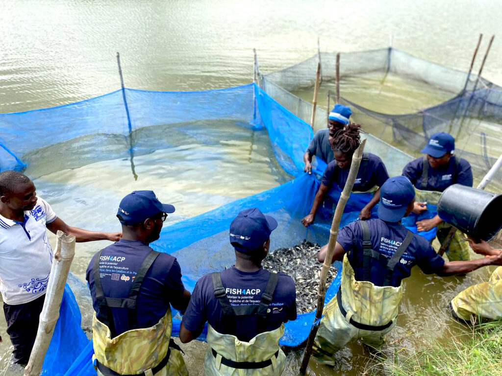 Côte d’Ivoire-AIP/ La FAO appelle les jeunes à investir le secteur aquacole