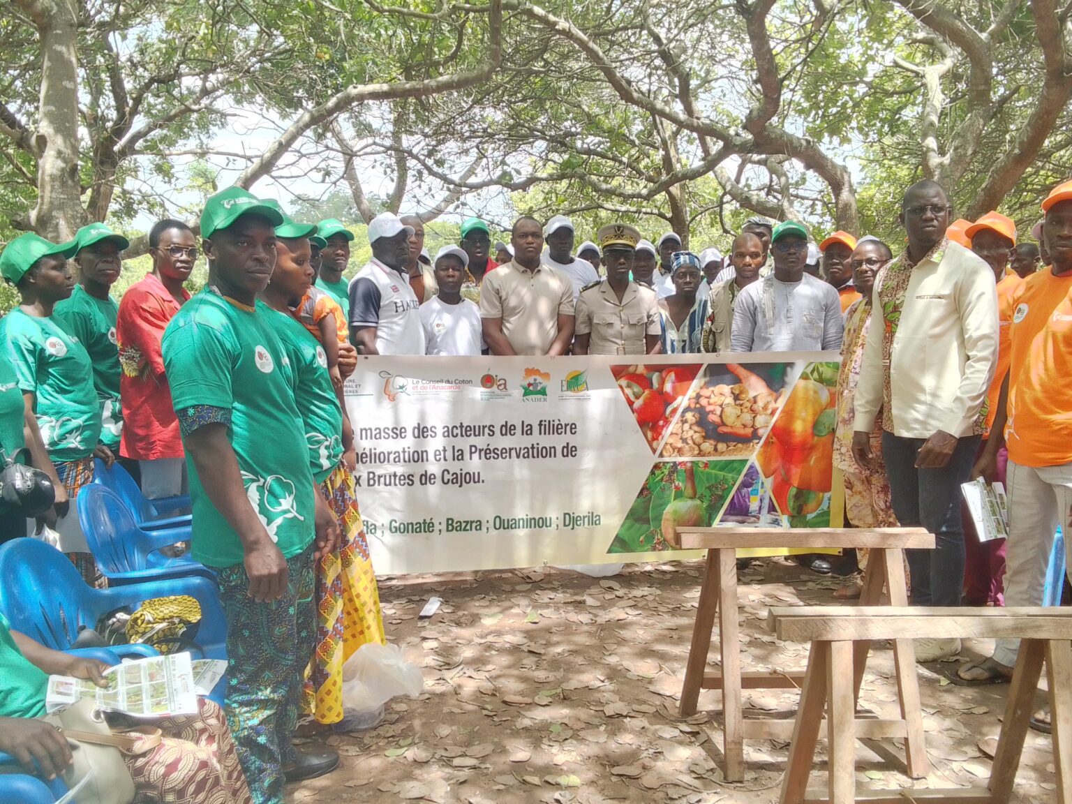 Côte d’Ivoire -AIP/Le conseil coton-anacarde mobilise les acteurs pour l’amélioration de la qualité de la noix de cajou