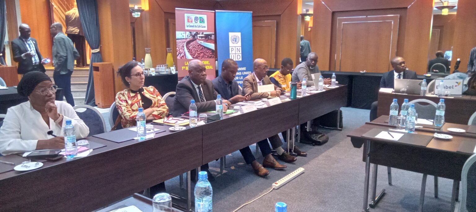 Côte d’Ivoire-AIP/ L’ambition climatique ne pourra se concrétiser sans une mobilisation du secteur privé et public (PNUD)