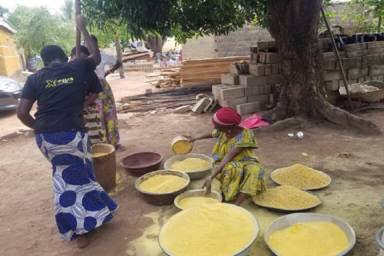 Côte d’Ivoire-AIP / Nutrition, santé, culture : les mille bienfaits du Néré à Tafiré (Reportage)