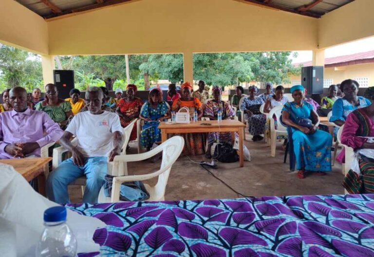 Côte d’Ivoire-AIP/ Le Rotary Abidjan Massina forme 100 femmes du canton Paccolo au leadership féminin rural