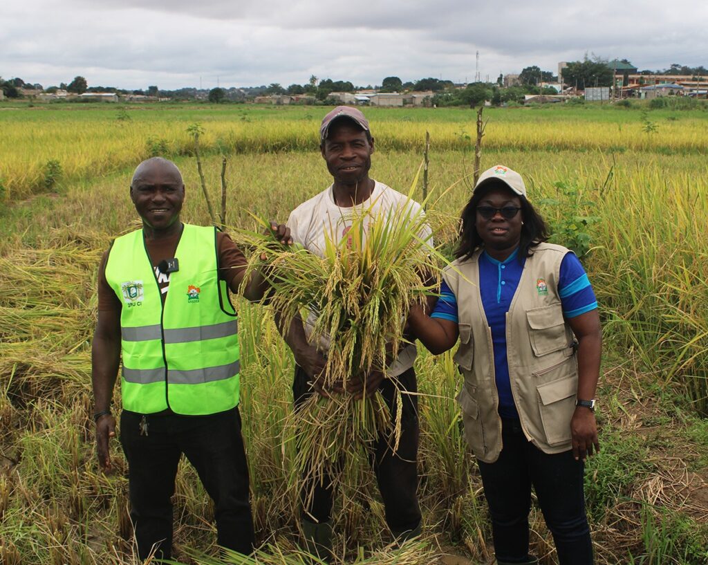 Côte d’Ivoire – AIP /L’ANADER entend mettre en avant des solutions pour la sécurité alimentaire à l’occasion du SARA 2025