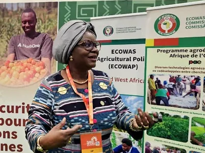 Côte d’Ivoire-AIP/ SARA 2025: La CEDEAO présente sa feuille de route 2025-2035 pour atteindre l’autosuffisance en riz