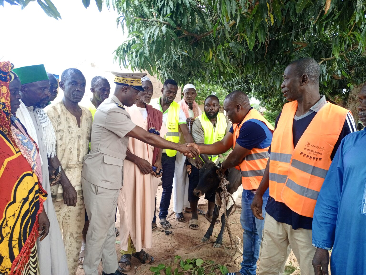 Côte d’Ivoire – AIP/ Tabaski 2025 : 80 boeufs offerts à la communauté musulmane de Nassian