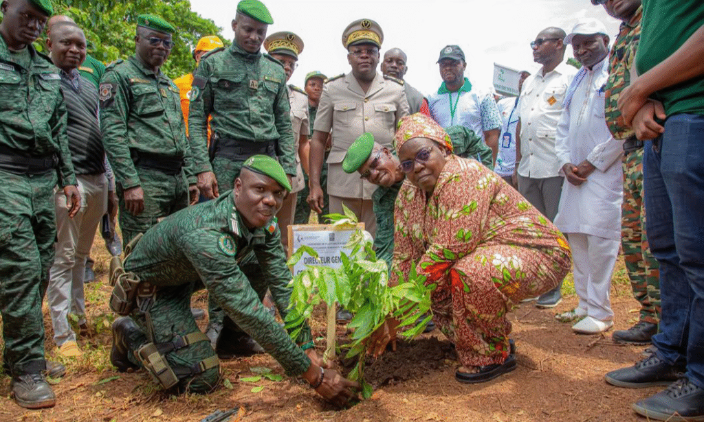 Côte d’Ivoire-AIP/ Le Conseil du coton et de l’anacarde initie un planting d’arbres à Kabako