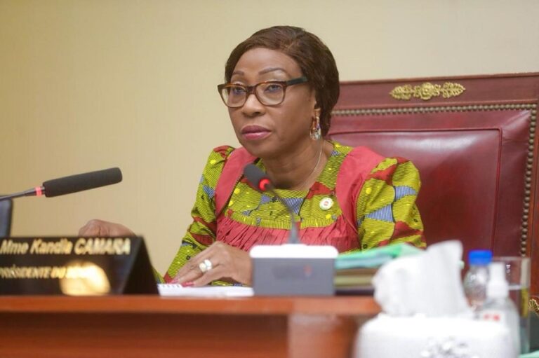 Côte d’Ivoire-AIP/ Le Sénat adopte 15 projets de loi à l’issue de deux jours de délibérations