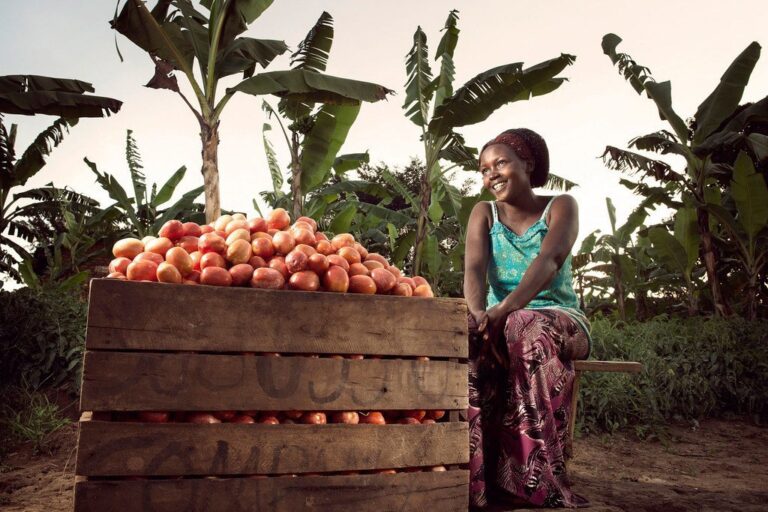 Côte d’Ivoire-AIP/Inter/ L’ONU alerte sur l’éloignement de l’objectif du travail décent