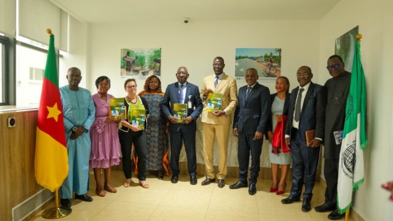 Côte d’Ivoire-AIP/ La Banque africaine de développement appelle le Cameroun à mieux mobiliser son capital pour une croissance durable