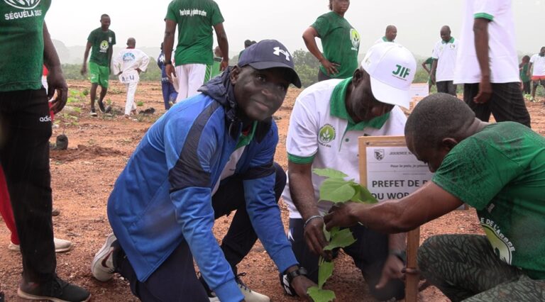 Côte d’Ivoire-AIP/ La JNA 2025 célébrée sous le signe de la restauration du couvert végétal à Séguéla