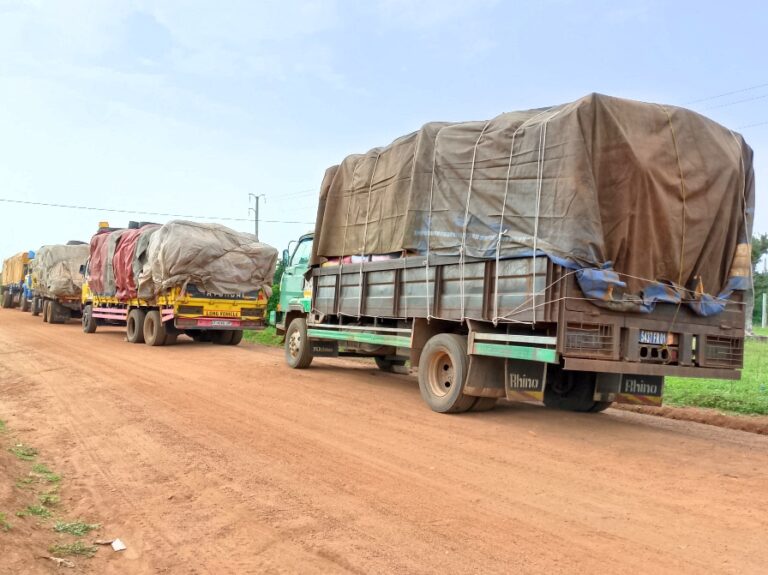 Côte d’Ivoire-AIP/ Le cerveau du convoi de 13 camions de noix de cajou interceptés vers le Ghana arrêté à Bouna