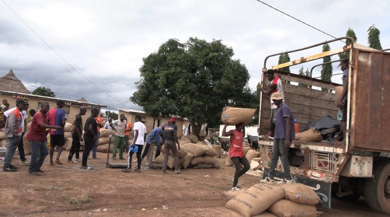 Côte d’Ivoire-AIP/ Des producteurs d’anacarde de Gbingoro soulagés après cinq mois d’attente