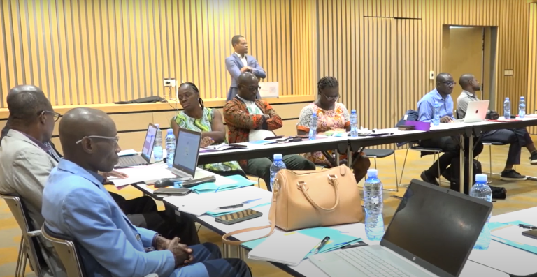 Atelier de restitution des recommandations du comité éditorial de l’AIP pour une couverture optimale