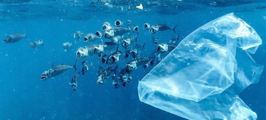 Côte d’Ivoire-AIP/Inter/ Pollution plastique : ouverture à Genève d’ultimes négociations pour un traité mondial contraignant