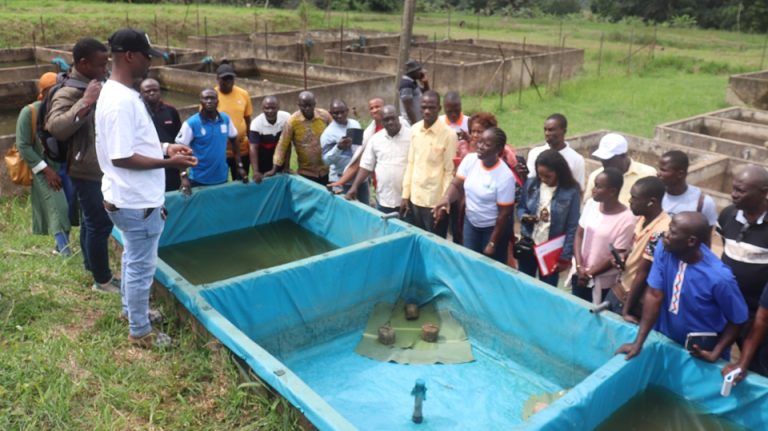 Côte d’Ivoire-AIP/ Des producteurs d’alevins formés à Bouaké sur les techniques de reproduction du silure et du poisson cameroun