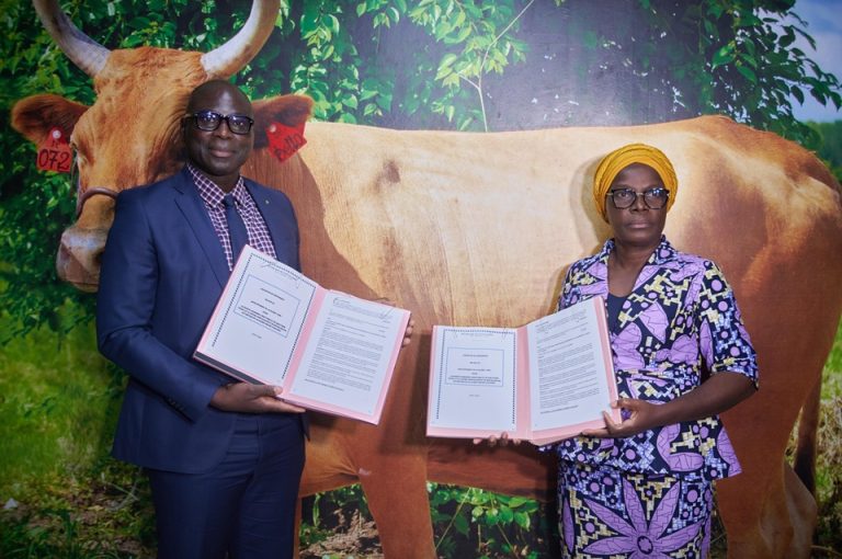 Côte d’Ivoire-AIP/ La SIVAC et le CAS-Porc scellent une convention de partenariat pour le développement de la filière porcine