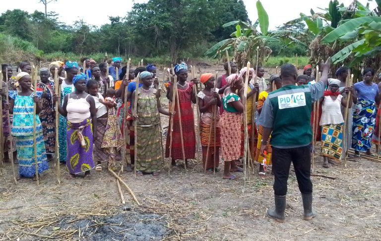 Côte d’Ivoire-AIP/ Des femmes de la coopérative »Yagnanbié » de Bocanda formées aux techniques du piquetage et ses avantages