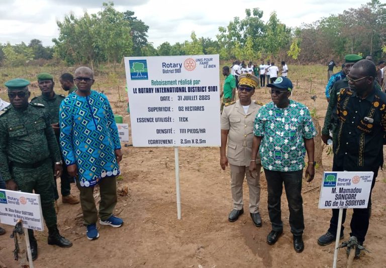 Côte d’Ivoire-AIP/ Quatre hectares de forêt reboisés par le Rotary international 9101 et la SODEFOR à Ferkessédougou