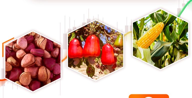 Côte d’Ivoire-AIP/Bourse des matières premières agricoles: Abidjan accueille une session d’information
