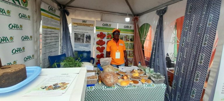 Côte d’Ivoire-AIP/ Le CNRA présente ses innovations au Forum d’affaires « Invest in Vallée du Bandama » à Bouaké