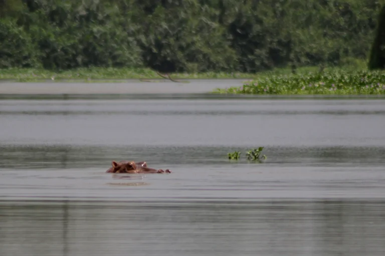 Côte d’Ivoire-AIP/ 11 personnes portées disparues sur le fleuve Sassandra à Buyo suite au chavirement d’une embarcation