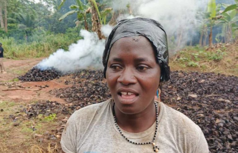 Côte d’Ivoire-AIP/ Valorisation des déchets : la seconde vie du cortex de cacao transformé en potasse (Reportage)