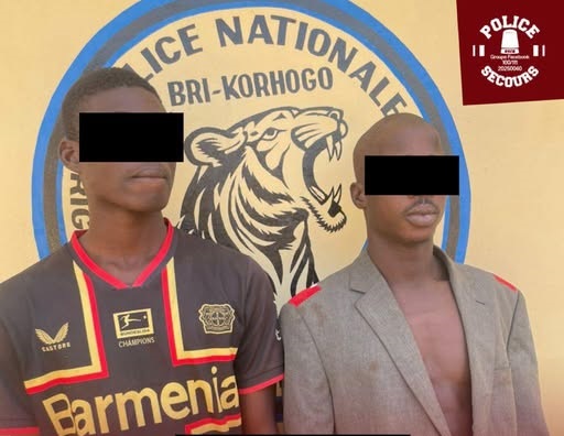 Côte d’Ivoire-AIP/ Korhogo: deux suspects interpellés pour meurtre après une bagarre nocturne (Police)